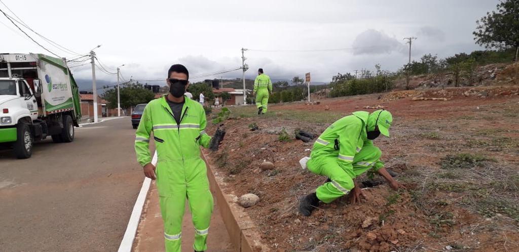 DÍA DE ARBORIZACIÓN CON LA URBANIZACIÓN ALTOS DE LA SIERRA