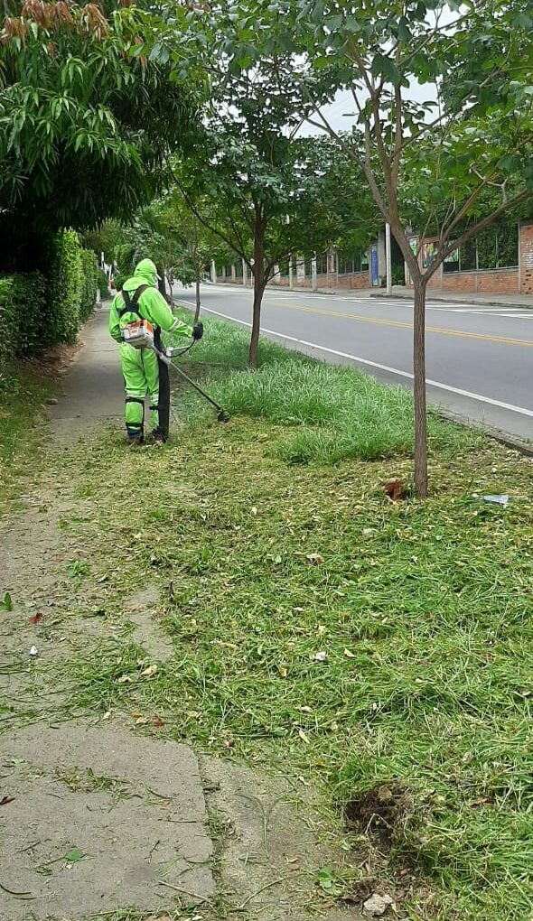 CORTE DE CÉSPED URBANIZACIÓN CAMPO VERDE