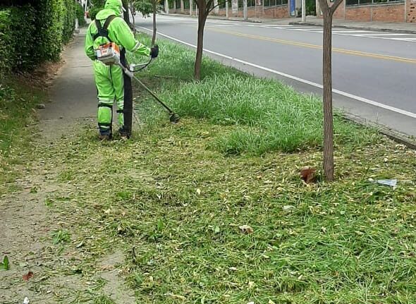 CORTE DE CÉSPED URBANIZACIÓN CAMPO VERDE