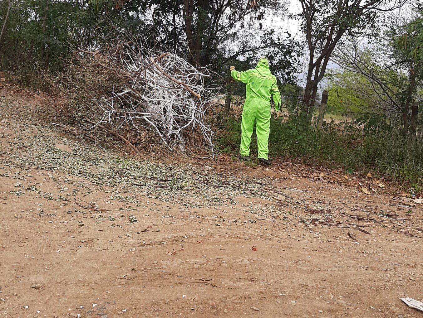 ACTIVIDAD EN ALTOS DE LA SIERRA