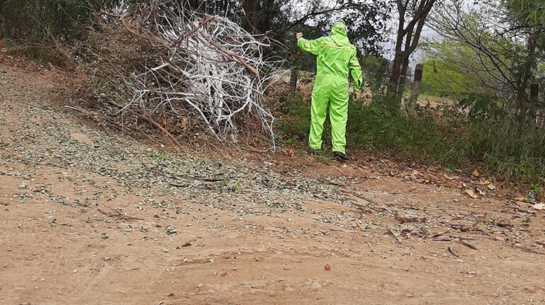 ACTIVIDAD EN ALTOS DE LA SIERRA