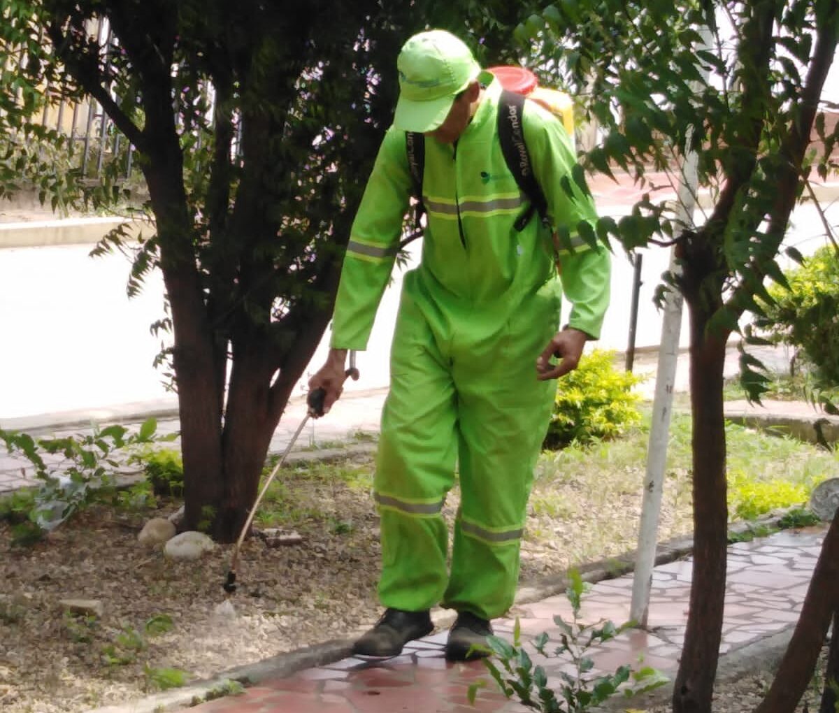 EMBELLECIMIENTO PARQUE DE URBANIZACION CAMPO VERDE